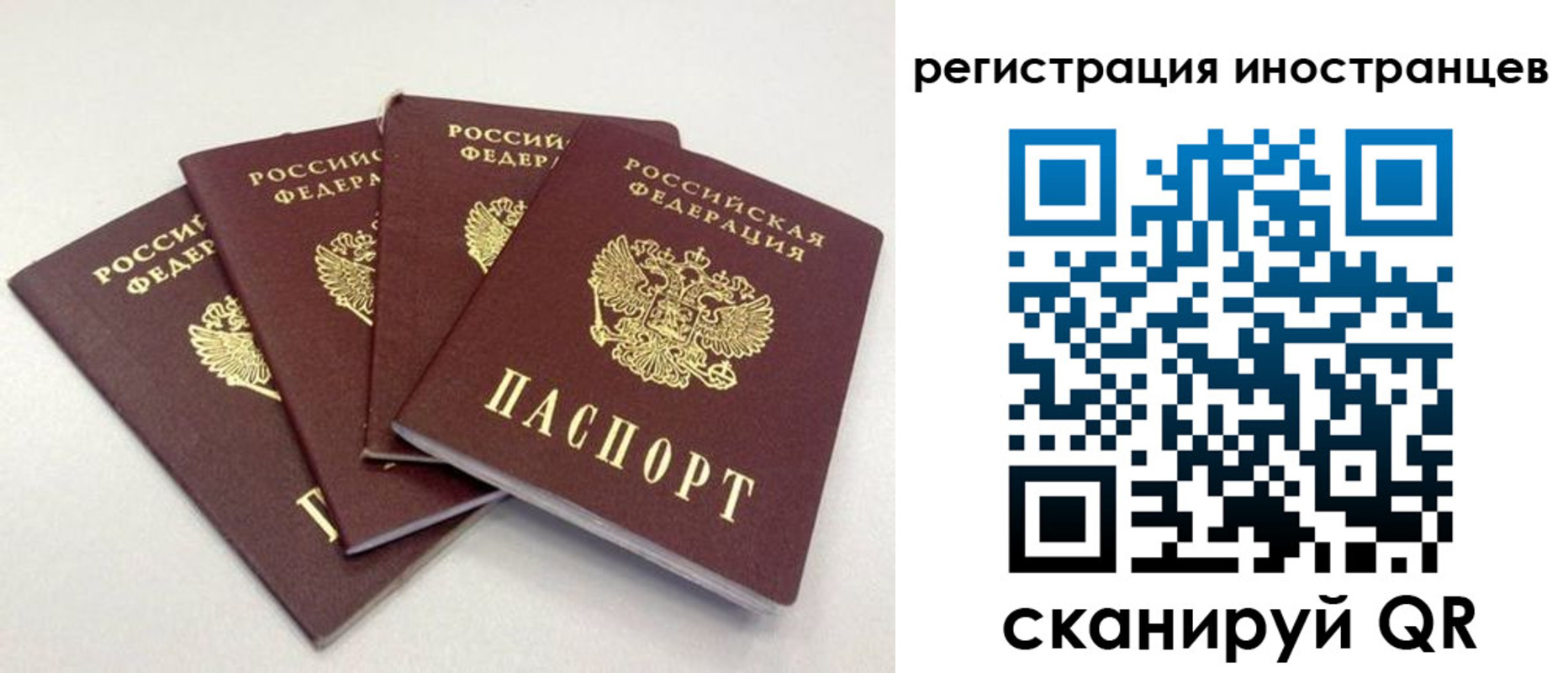 временная регистрация для школы в Нефтекумске